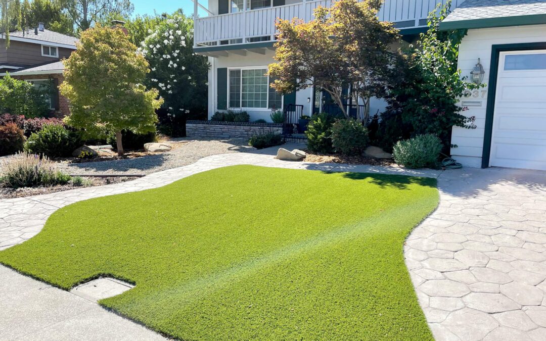 synthetic grass for home property