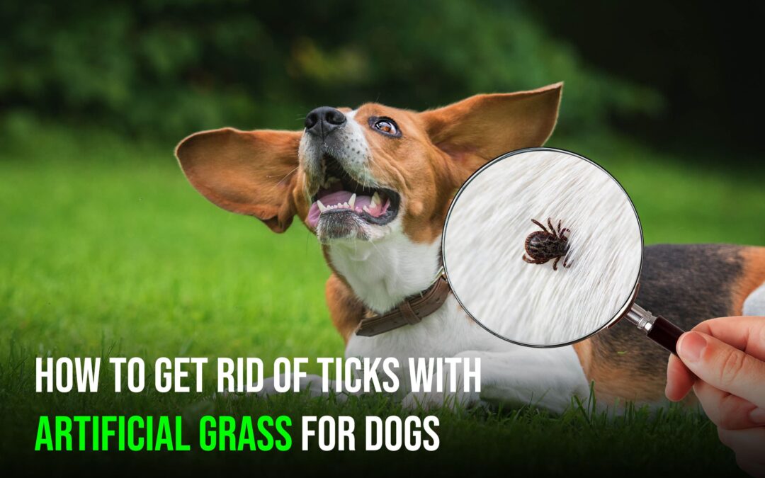 Artificial Grass for Dogs in Stockton for Tick Control